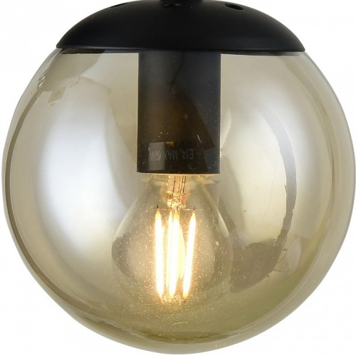 Бра Arte Lamp Bolla A1664AP-1BK в Тольятти фото 4