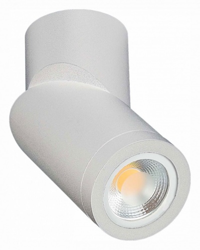 Светильник на штанге ST-Luce ST650 ST650.502.01 в Нижнем Новгороде