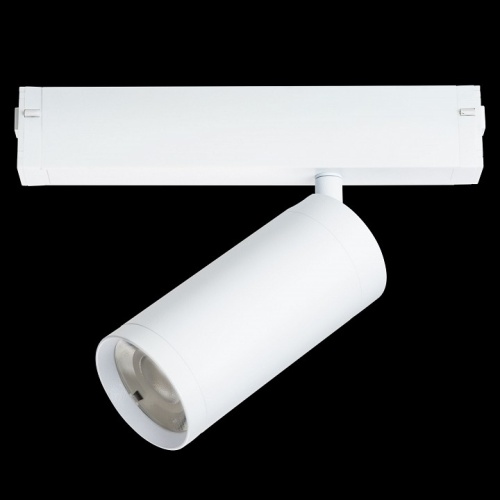 Светильник на штанге Lightstar Teta 205036 в Нижнем Новгороде фото 3