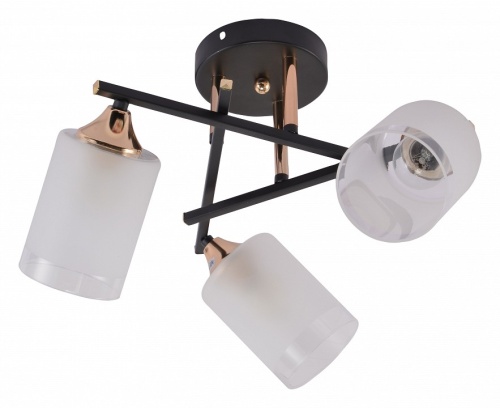 Люстра на штанге Rivoli Fiona Б0059259 в Нижнем Новгороде