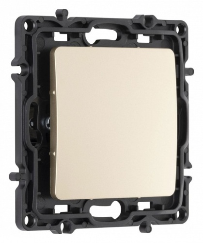 Заглушка для поста, без рамки Arte Milano am-217 217.50-1.shampan в Нижнем Новгороде фото 4