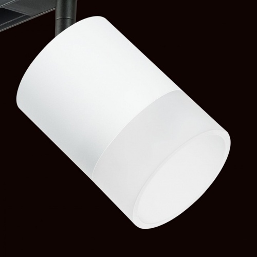 Светильник на штанге Lightstar Rullo PRO348681 в Нижнем Новгороде фото 2