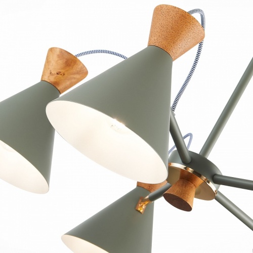 Люстра на штанге EVOLUCE Modica SLE125112-05 в Нижнем Новгороде фото 2