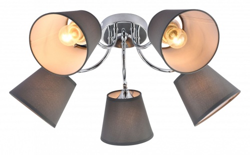 Потолочная люстра Rivoli Alexa Б0059974 в Нижнем Новгороде фото 6