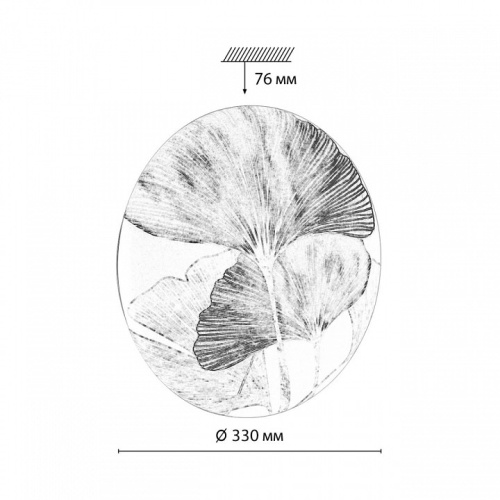 Накладной светильник Sonex Floren 7747/CL в Нижнем Новгороде фото 2