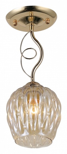 Светильник на штанге Rivoli Daiane Б0054740 в Нижнем Новгороде фото 5