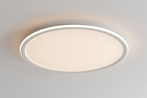 Накладной светильник Zortes Galo ZRS.10112.13 в Нижнем Новгороде фото 10