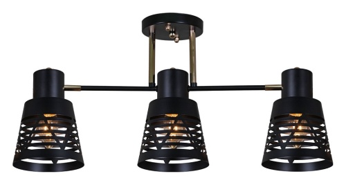 Светильник на штанге 06074-3.3-03 BK+FG в Нижнем Новгороде