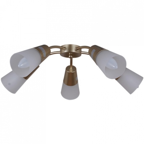 Потолочная люстра  01266-0.3-05B GOLD в Нижнем Новгороде фото 4