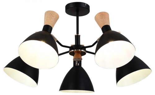 Люстра на штанге EVOLUCE VISTA SLE1256-402-05 в Нижнем Новгороде фото 8