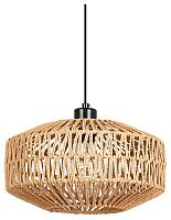 Подвесной светильник Arte Lamp BRUSHWOOD A7087SP-1BK в Нижнем Новгороде