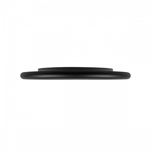 Накладной светильник Loft it Sweety 10454/400 Black в Нижнем Новгороде фото 4