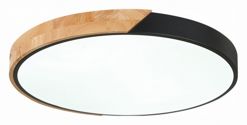 Накладной светильник EVOLUCE Festa SLE200942-01 в Нижнем Новгороде фото 2