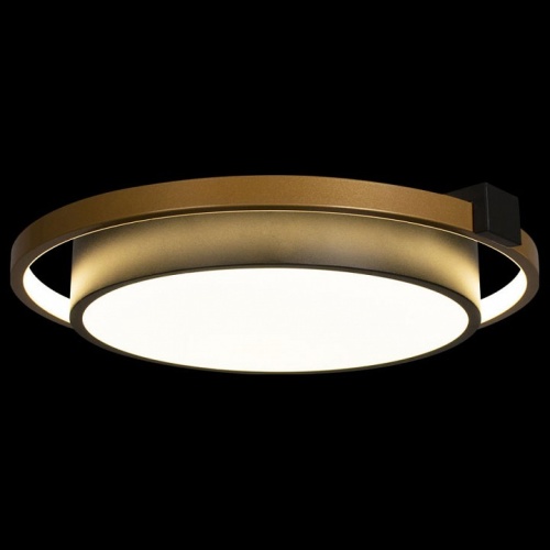 Накладной светильник Loft it Mike 10169 в Нижнем Новгороде фото 2