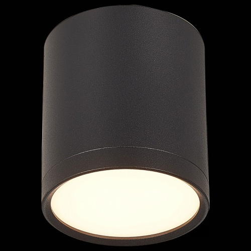 Накладной светильник ST-Luce Rene ST113.432.05 в Кропоткине фото 3