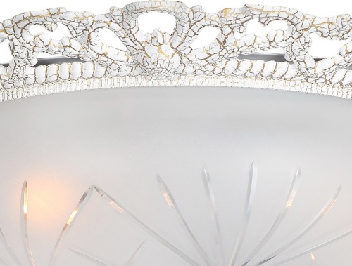 Накладной светильник Arti Lampadari Venezia Venezia E 1.13.38 BW в Нижнем Новгороде фото 3