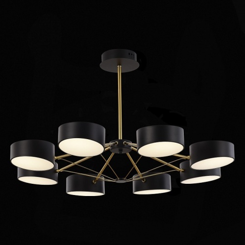 Люстра на штанге EVOLUCE Valle SLE6005-402-08 в Нижнем Новгороде фото 3