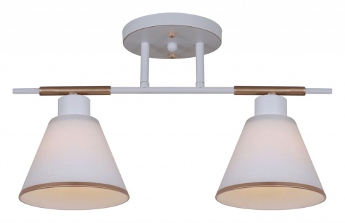 Светильник на штанге 07594-0.3-02 WG в Нижнем Новгороде