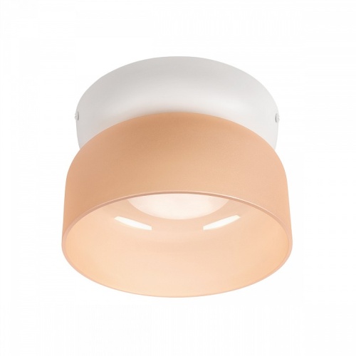 Накладной светильник Loft it Totem 10466 Amber matte в Нижнем Новгороде фото 5