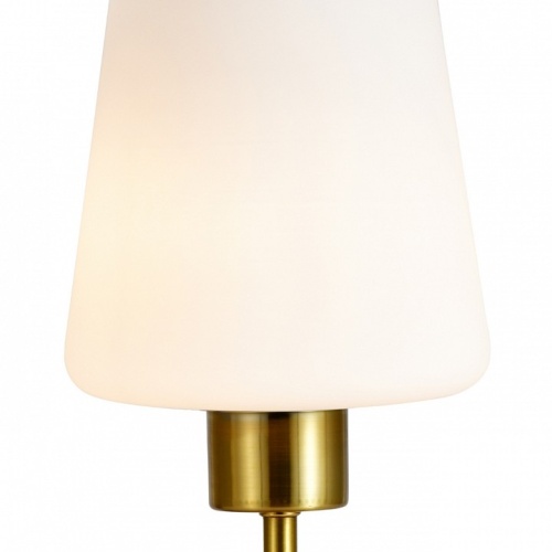 Настольная лампа декоративная Escada  ES0002705 в Нижнем Новгороде фото 3