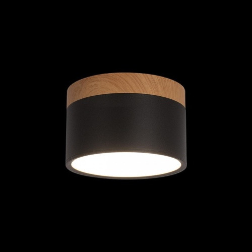 Накладной светильник Loft it Grape 10162 Black в Нижнем Новгороде фото 2