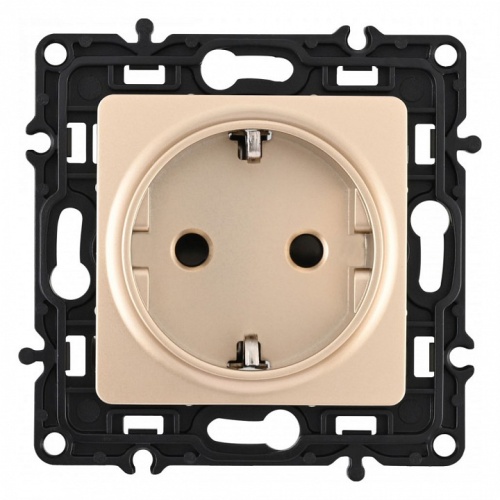 Розетка с заземлением и со шторкой, без рамки Arte Milano am-217 217.40-1.shampan в Нижнем Новгороде