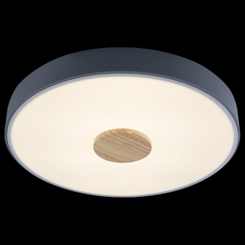 Накладной светильник Loft it Axel 2 10003/24 Grey в Нижнем Новгороде фото 2