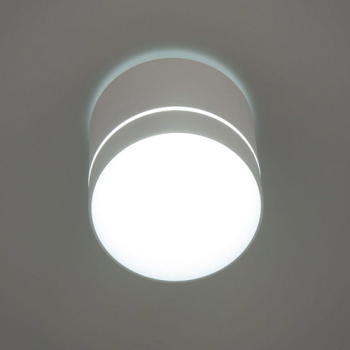 Накладной светильник Citilux Борн CL745020N в Соколе фото 13