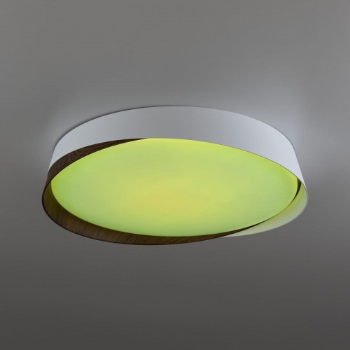 Накладной светильник Citilux BONNY CL754350G в Нижнем Новгороде фото 14