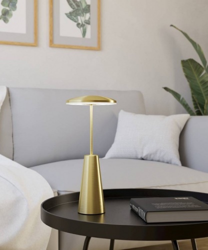 Настольная лампа декоративная Eglo PICCOLA 900923 в Нижнем Новгороде фото 2