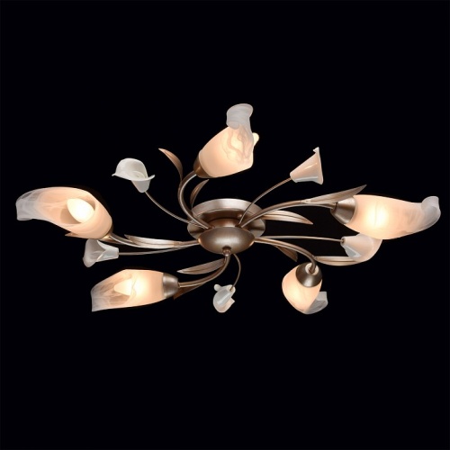 Потолочная люстра MW-Light Восторг 19 242016205 в Нижнем Новгороде фото 5