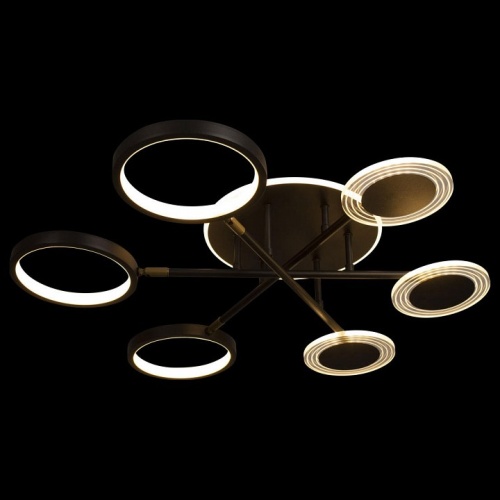 Потолочная люстра Loft it Megan 10164S Black в Нижнем Новгороде фото 3