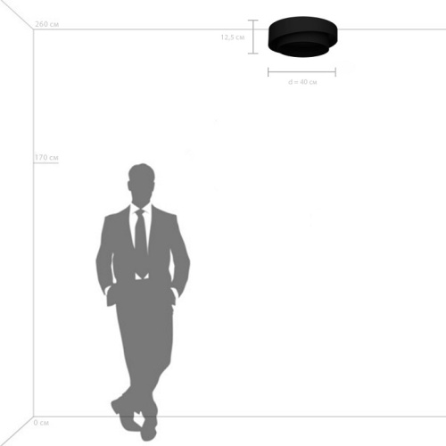 Накладной светильник Lightstar Celesta 809416 в Нижнем Новгороде фото 3