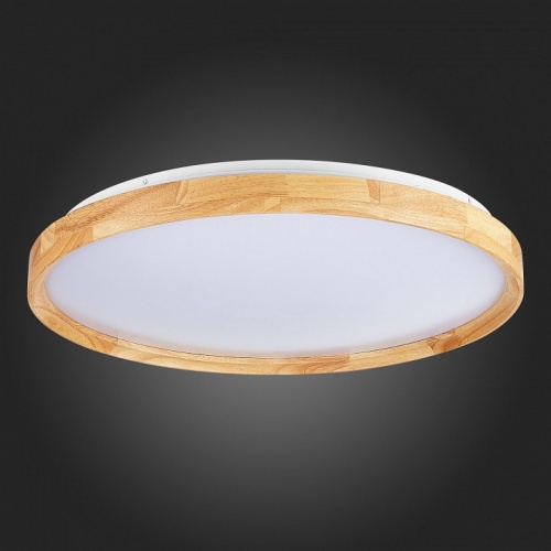 Накладной светильник EVOLUCE DELIA SLE201382-01 в Нижнем Новгороде фото 2