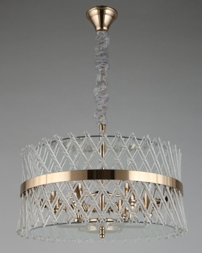 Подвесной светильник Aployt Toinet APL.734.06.06 в Нижнем Новгороде фото 2