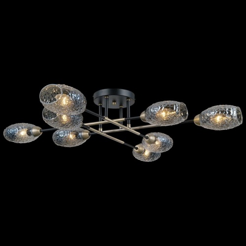 Потолочная люстра ILLUMICO  IL0255-8CSQ-79 BK AB в Нижнем Новгороде фото 4