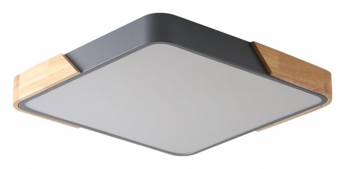 Накладной светильник Zortes Alberro ZRS.01288.24 в Нижнем Новгороде фото 2