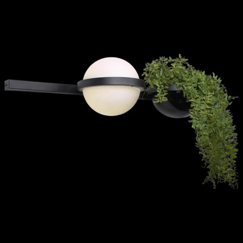 Бра Loft it Jardin 10121W/A в Нижнем Новгороде фото 4