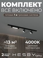 Комплект трековый Hesby Lighting Skylite №14 HSBL_kompl_S014_NI1B4K в Нижнем Новгороде