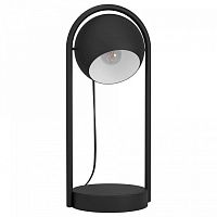 Настольная лампа декоративная Eglo Murnia 900314 в Нижнем Новгороде