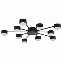 Потолочная люстра Lumion TORINA 8344/10C в Нижнем Новгороде