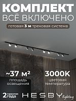 Комплект трековый Hesby Lighting Skylite №13 HSBL_kompl_S013_NI3B3K в Нижнем Новгороде