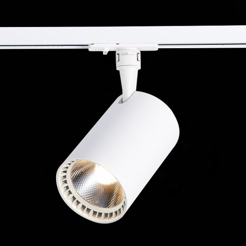 Светильник на штанге ST-Luce Cami ST351.546.30.36 в Нижнем Новгороде фото 4