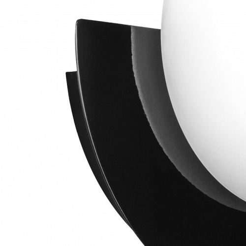 Накладной светильник Lightstar Erica 609637 в Нижнем Новгороде фото 3