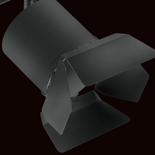 Светильник на штанге Lightstar Rullo PRO3487487 в Нижнем Новгороде фото 2