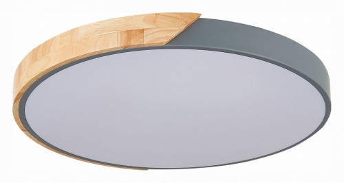 Накладной светильник EVOLUCE Festa SLE200972-01 в Нижнем Новгороде фото 4