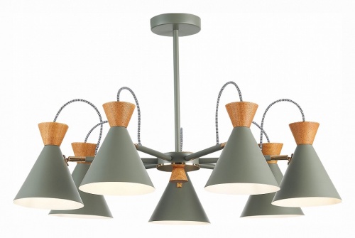 Люстра на штанге EVOLUCE Modica SLE125112-07 в Нижнем Новгороде фото 3