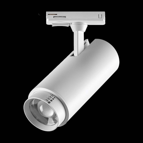 Светильник на штанге Lightstar Fuoco P+CCT 218026 в Нижнем Новгороде фото 3