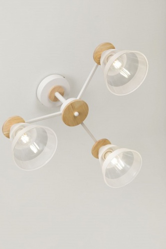 Люстра на штанге Rivoli Theothila Б0068434 в Нижнем Новгороде фото 9