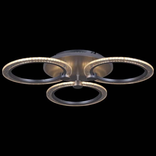 Потолочная люстра 20433-0.3-3+1L SIL в Нижнем Новгороде фото 3